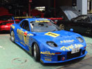 amemiya; Actual size=300 pixels wide